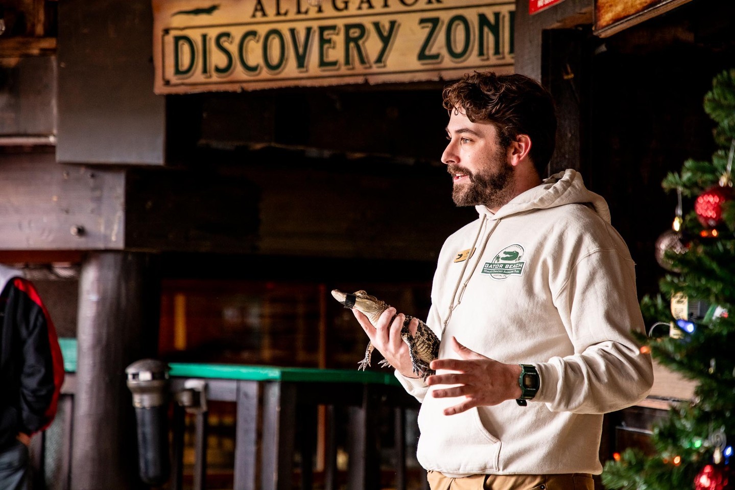 Reptile Discovery Zone Gator