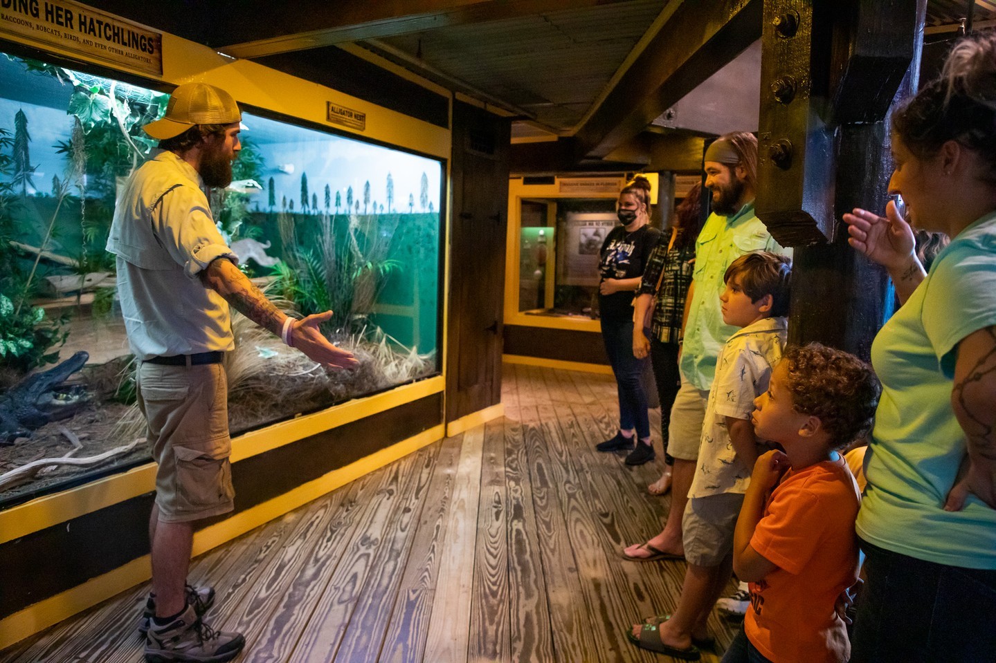 Reptile Discovery Zone